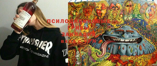 ECSTASY Остров